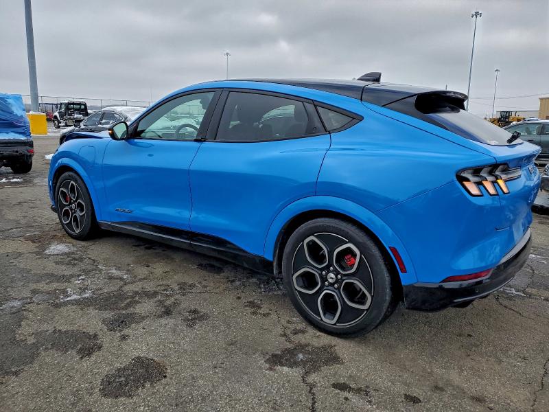 2022 FORD MUSTANG MA #3303818439