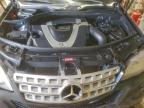 Lot #3305301372 2011 MERCEDES-BENZ ML 350 4MA