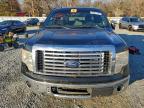 Lot #3304634960 2013 FORD F150 SUPER