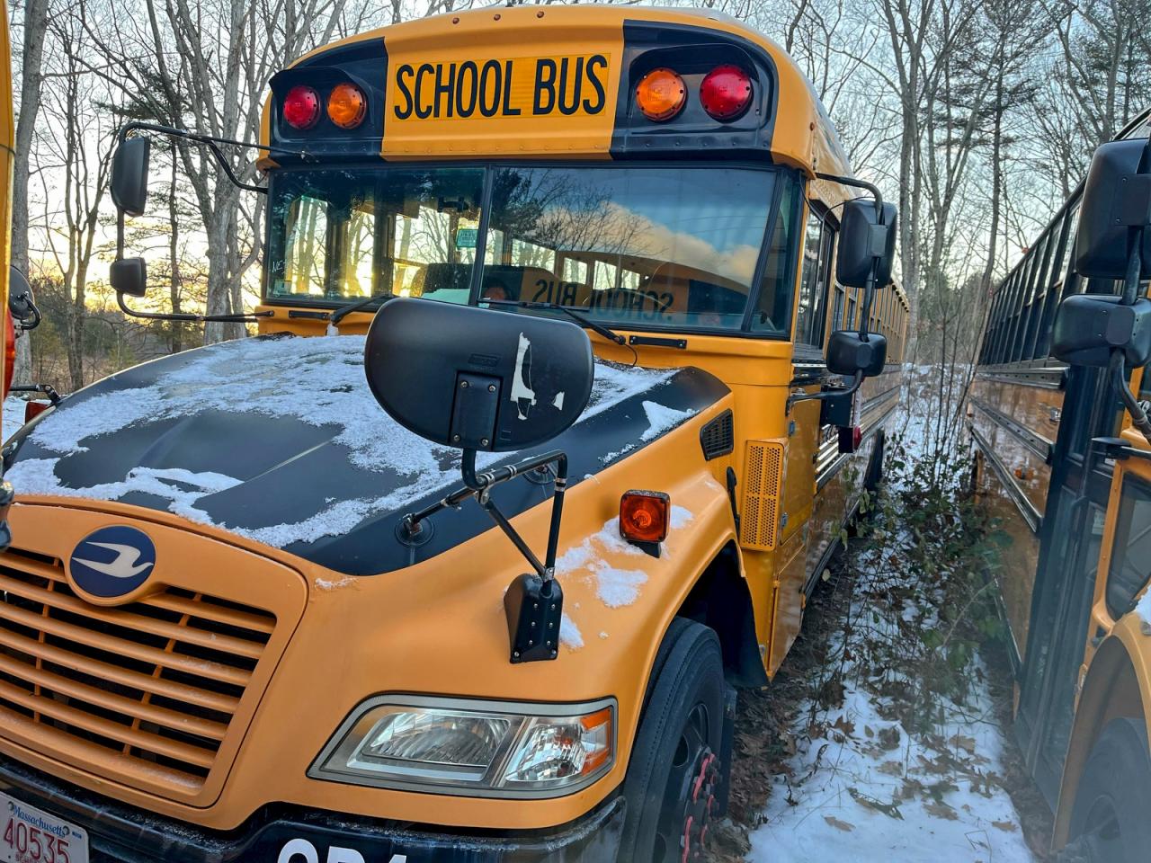 Lot #3313431932 2016 BLUE BIRD SCHOOL BUS