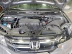 Lot #3316771418 2017 HONDA ODYSSEY EX