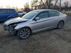 Lot #3310603325 2013 HONDA ACCORD SPO
