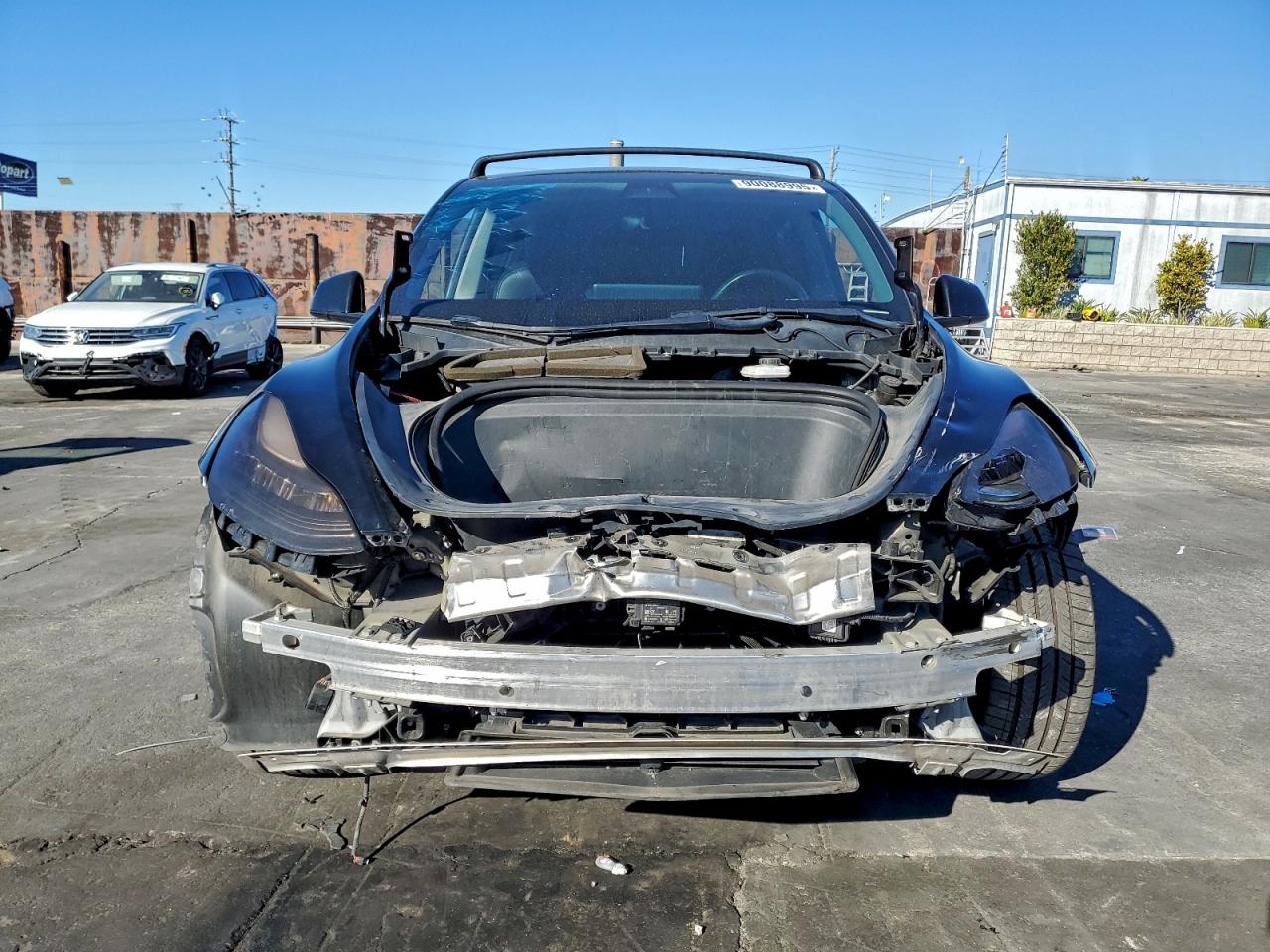 Lot #3309772853 2021 TESLA MODEL Y