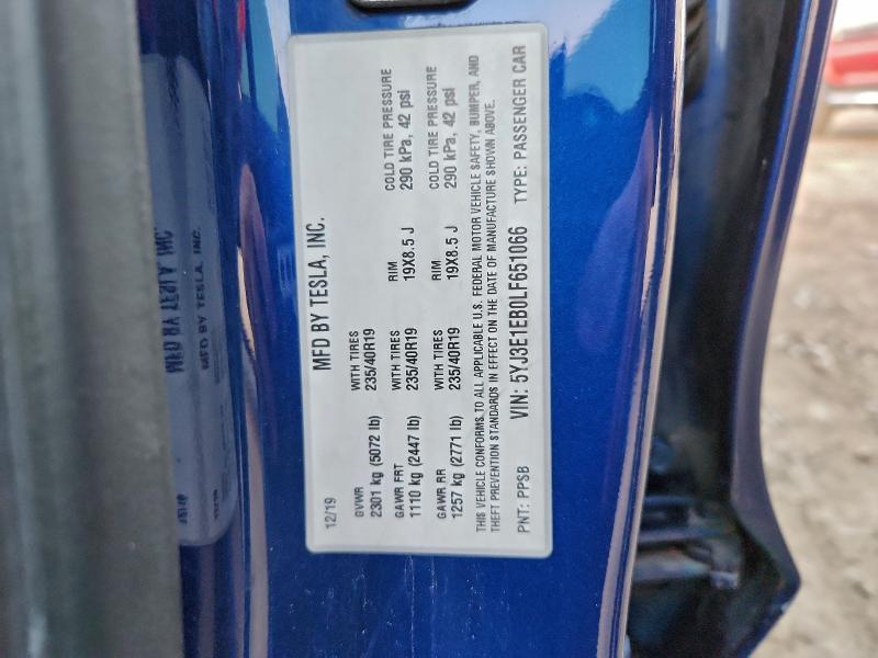 2020 TESLA MODEL 3 #3308569520