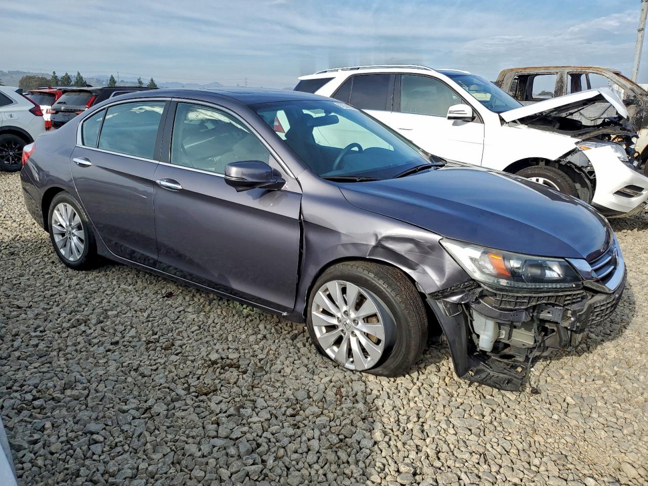 Lot #3318017480 2014 HONDA ACCORD EX