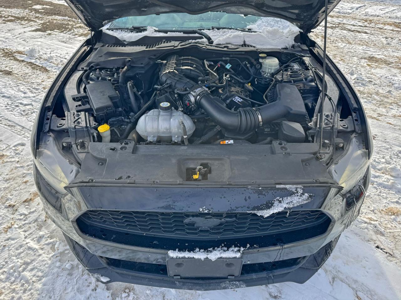 Lot #3316736421 2016 FORD MUSTANG