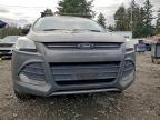 Lot #3312616211 2016 FORD ESCAPE SE