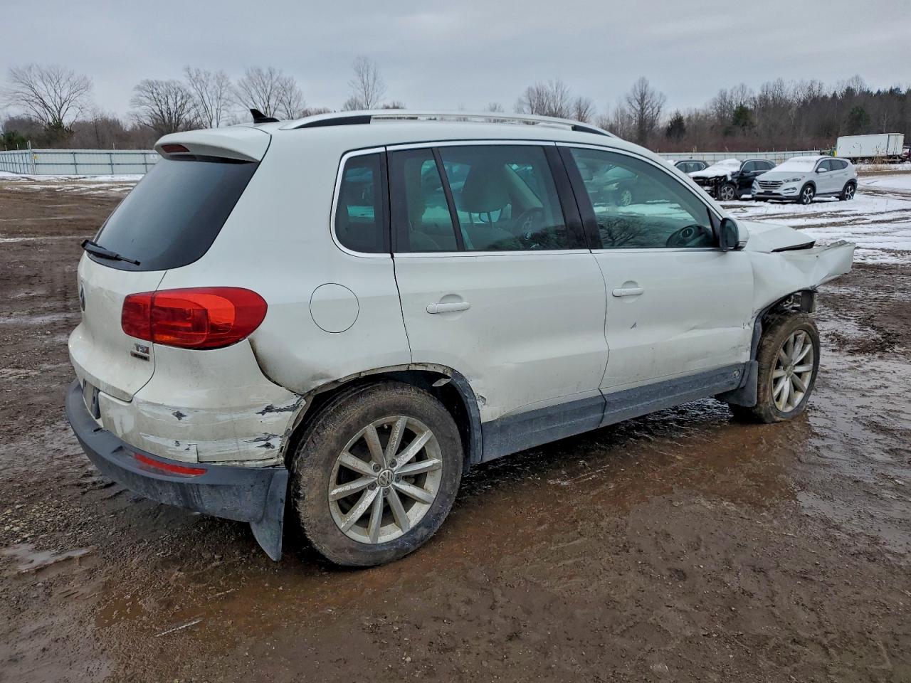 Lot #3316780432 2017 VOLKSWAGEN TIGUAN WOL