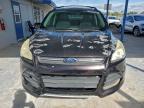 Lot #3312463644 2013 FORD ESCAPE SE