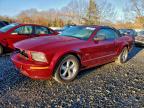 Lot #3308237181 2006 FORD MUSTANG GT