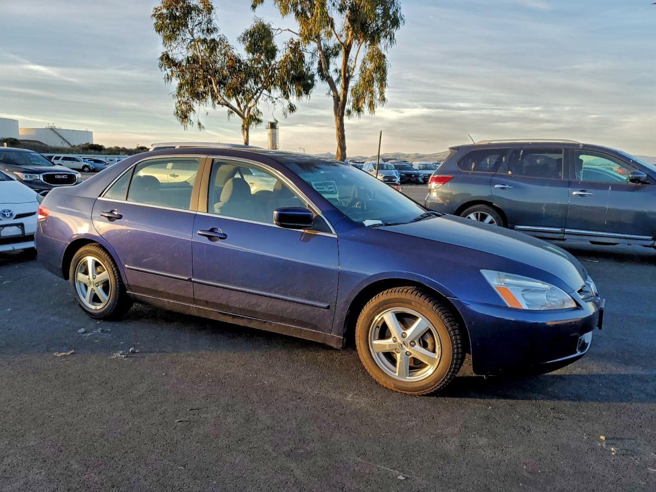 Lot #3318082403 2004 HONDA ACCORD EX