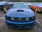 Lot #3317077003 2009 FORD MUSTANG GT