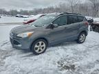 Lot #3302649038 2013 FORD ESCAPE SE