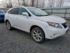 Lot #3311481233 2010 LEXUS RX 350