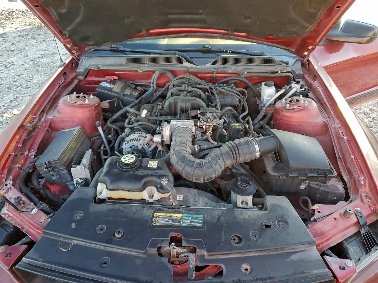 Lot #3311609263 2009 FORD MUSTANG