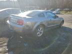Lot #3306393531 2008 FORD MUSTANG