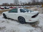 Lot #3308244196 1998 PONTIAC FIREBIRD
