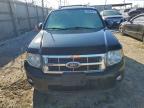 Lot #3304503446 2009 FORD ESCAPE XLT