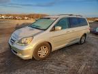 Lot #3305427473 2006 HONDA ODYSSEY TO