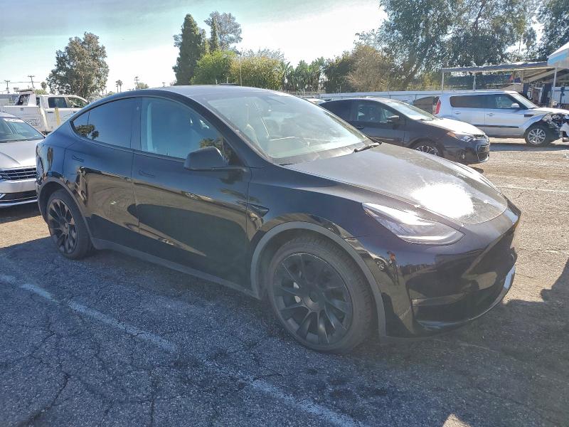 2021 TESLA MODEL Y #3301905419