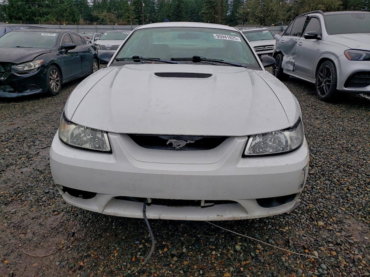 Lot #3311656267 2001 FORD MUSTANG