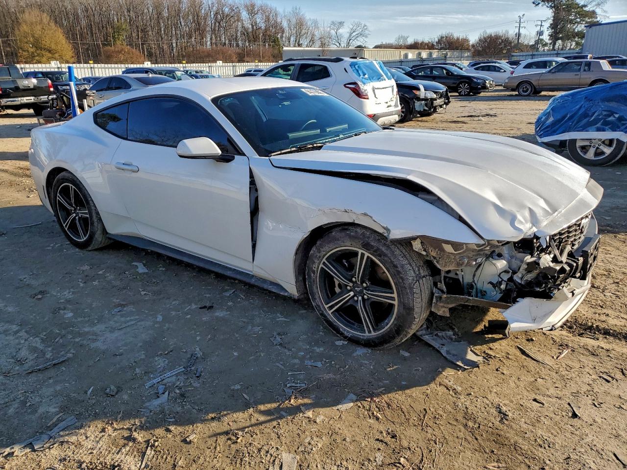 Lot #3315984125 2024 FORD MUSTANG