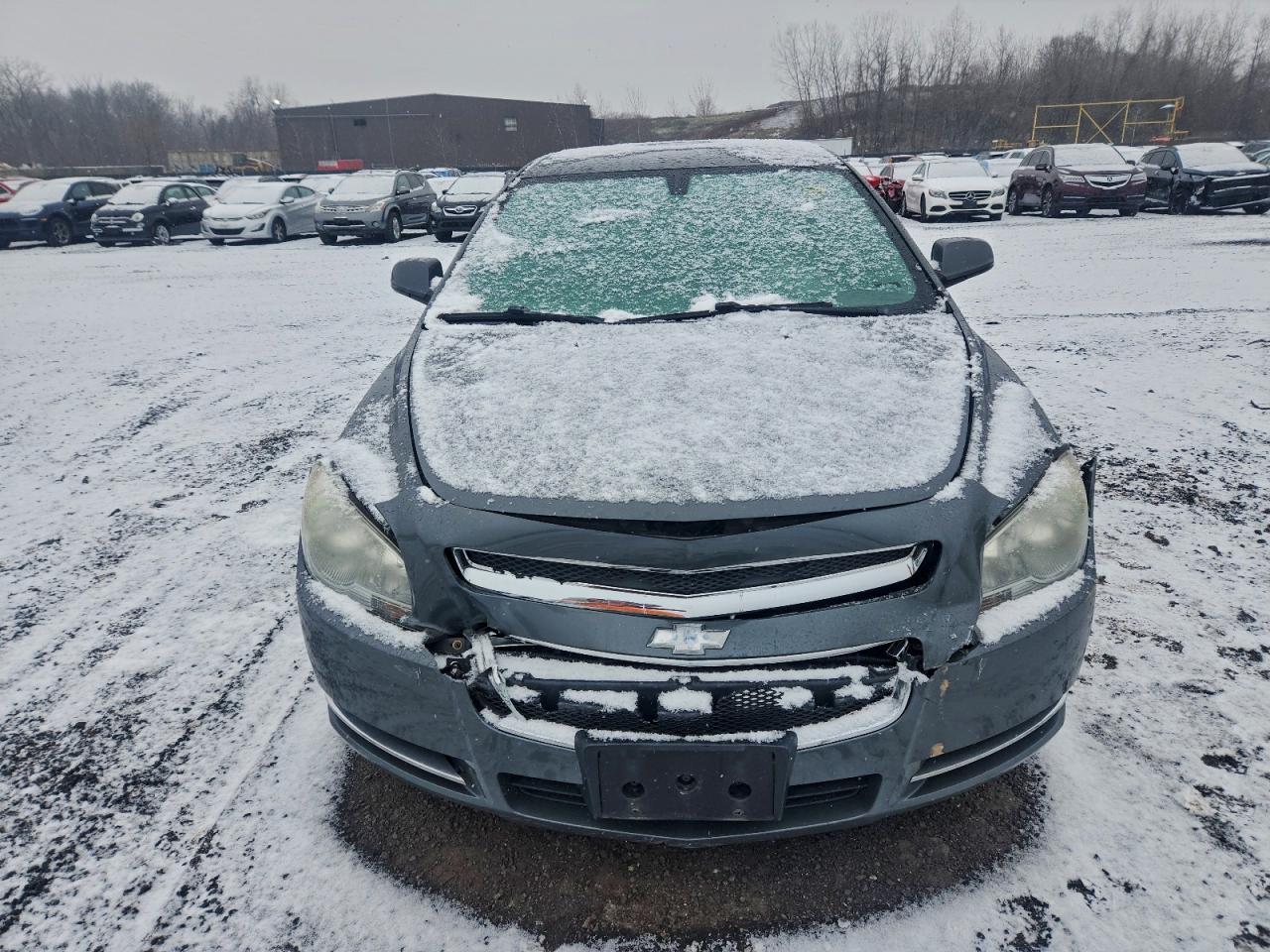 Lot #3311461317 2009 CHEVROLET MALIBU 1LT