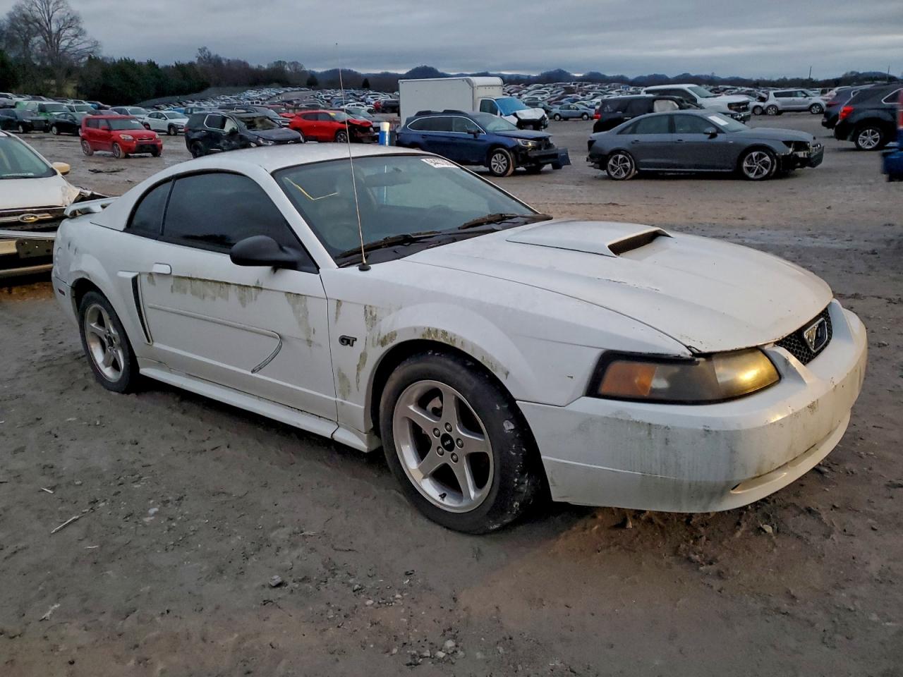 Lot #3303639929 2003 FORD MUSTANG GT