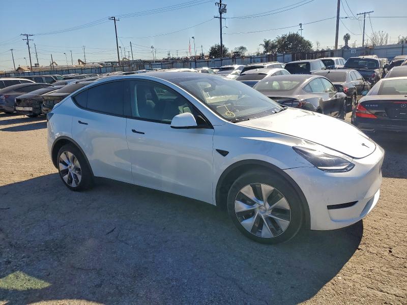 2024 TESLA MODEL Y #3305446076