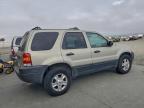 Lot #3316821456 2004 FORD ESCAPE XLT