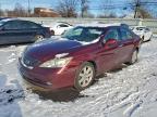 Lot #3315883115 2007 LEXUS ES 350