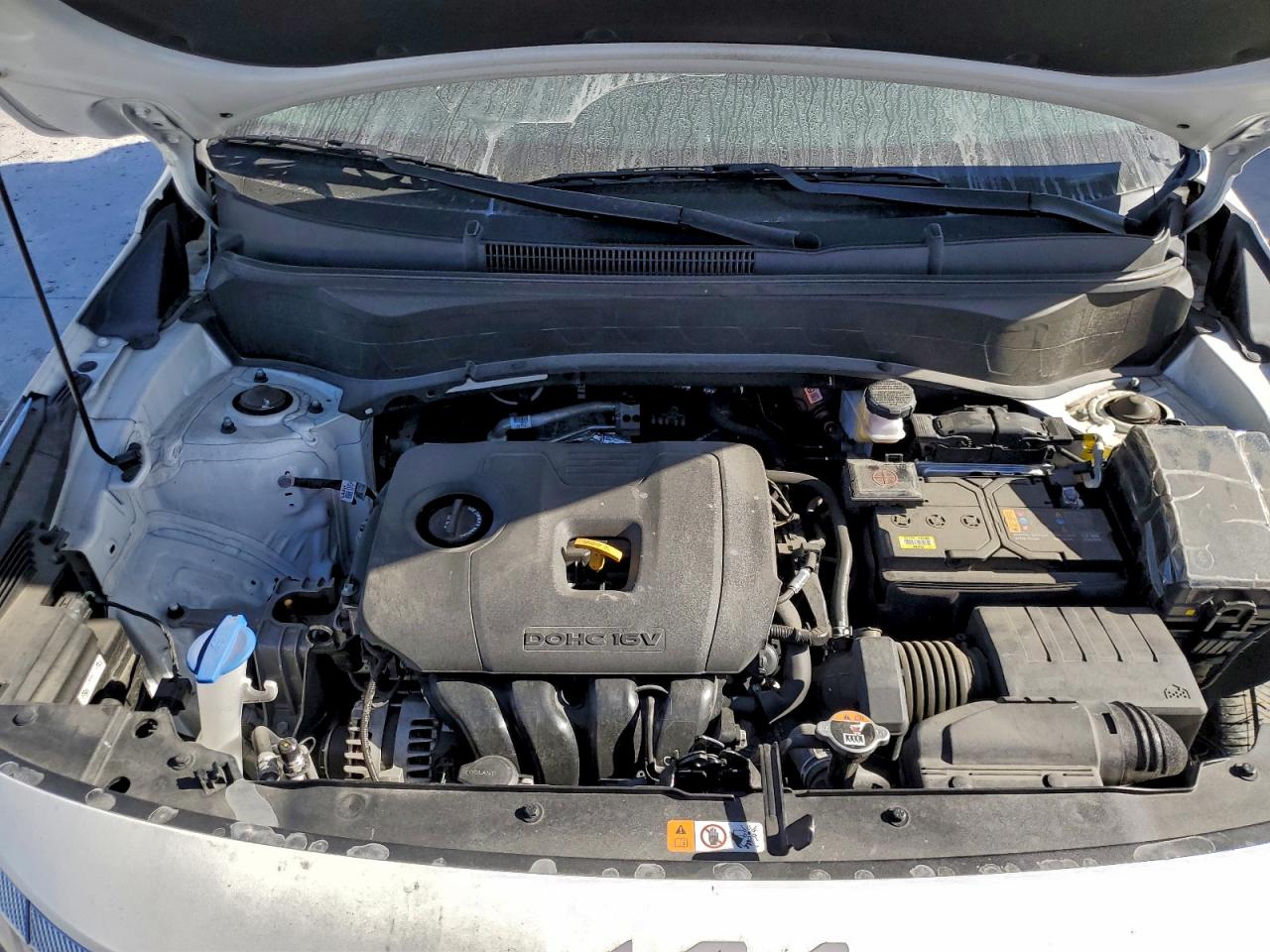 Lot #3319095278 2024 KIA SELTOS EX