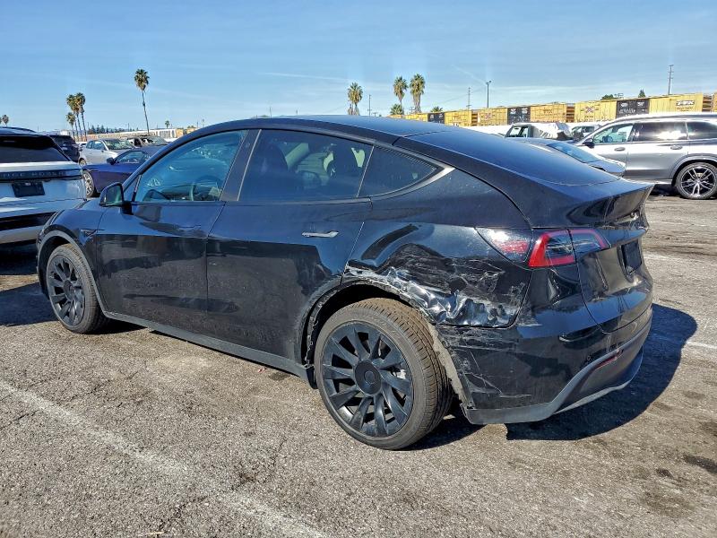2021 TESLA MODEL Y #3301905419