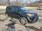 Lot #3315887081 2016 KIA SOUL