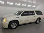 Lot #3302659104 2009 CADILLAC ESCALADE E