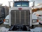Lot #3309364989 2009 PETERBILT 365