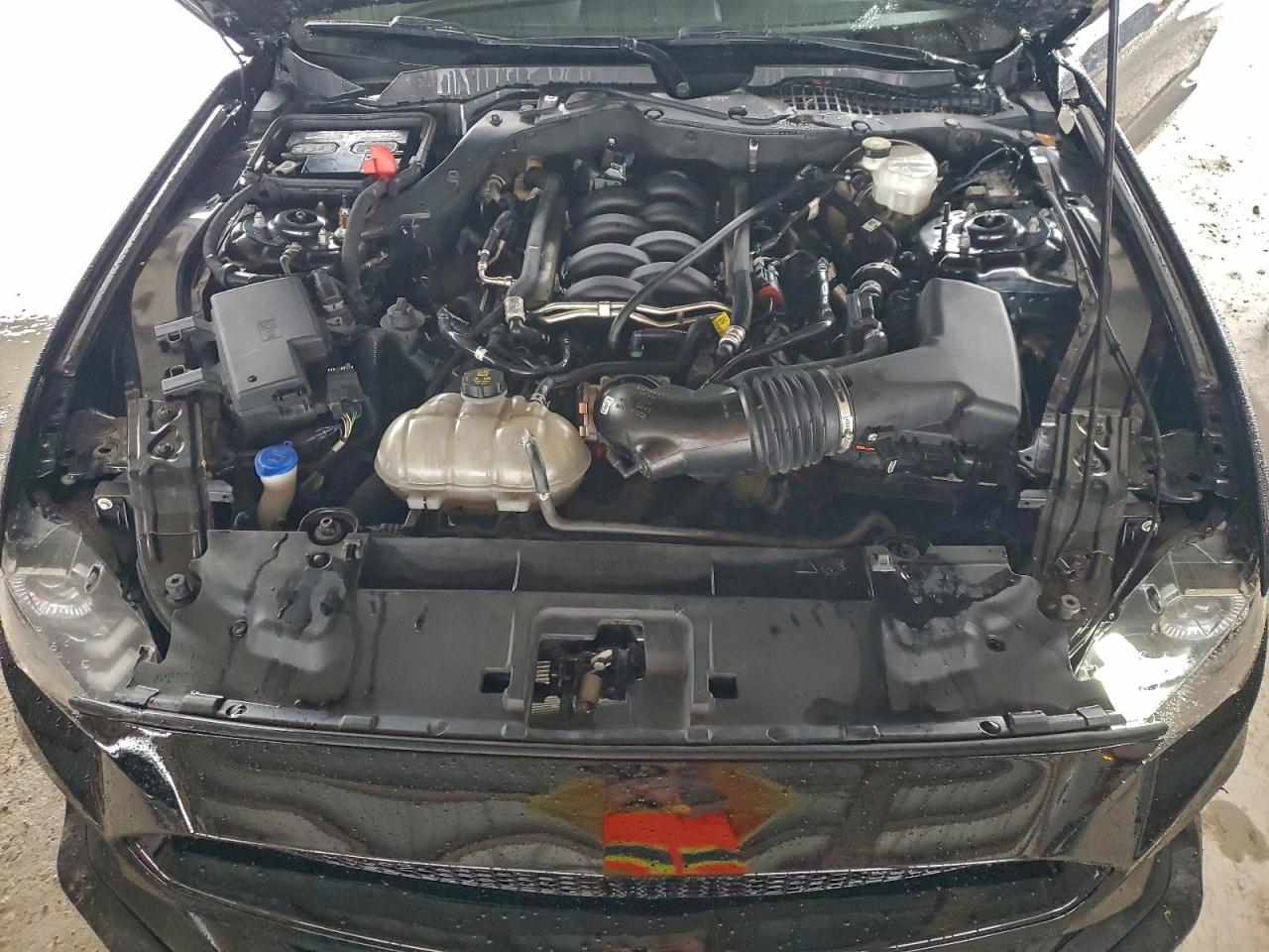 Lot #3310468073 2021 FORD MUSTANG GT