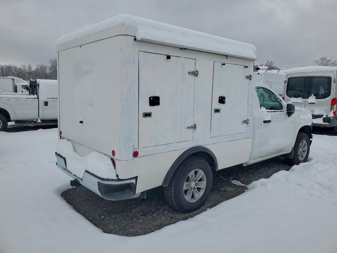Lot #3302649020 2025 CHEVROLET SILVERADO