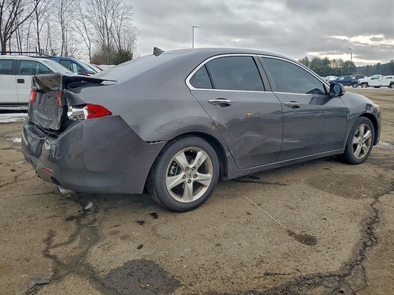 Lot #3312393124 2010 ACURA TSX