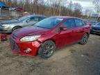 Lot #3313702159 2013 FORD FOCUS SE