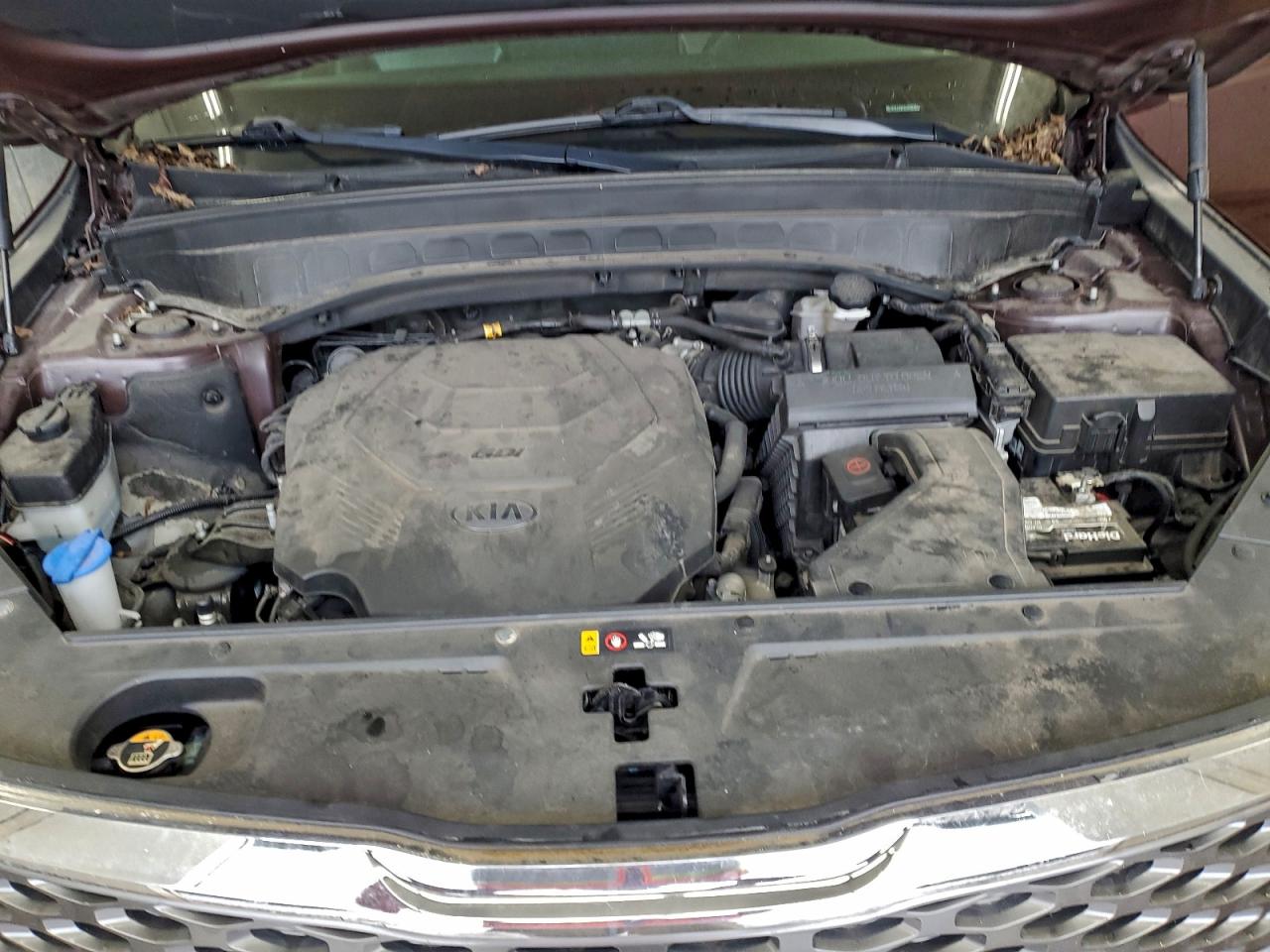 Lot #3309258620 2020 KIA TELLURIDE