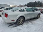 Lot #3304523526 2009 FORD MUSTANG