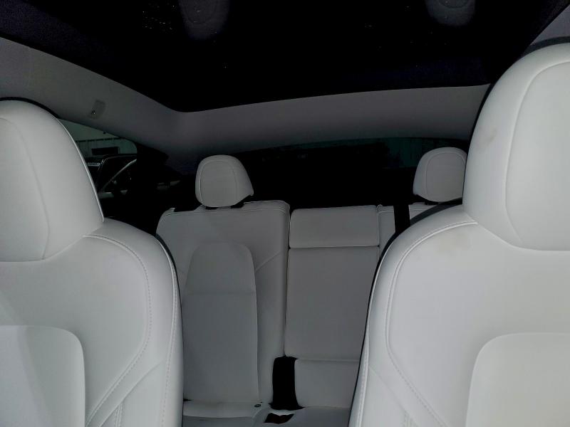 2023 TESLA MODEL Y #3311517282