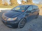 Lot #3316782410 2013 HONDA ODYSSEY EX