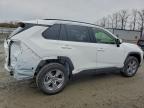 Lot #3304849571 2025 TOYOTA RAV4 XLE