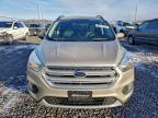 Lot #3309442978 2018 FORD ESCAPE SE