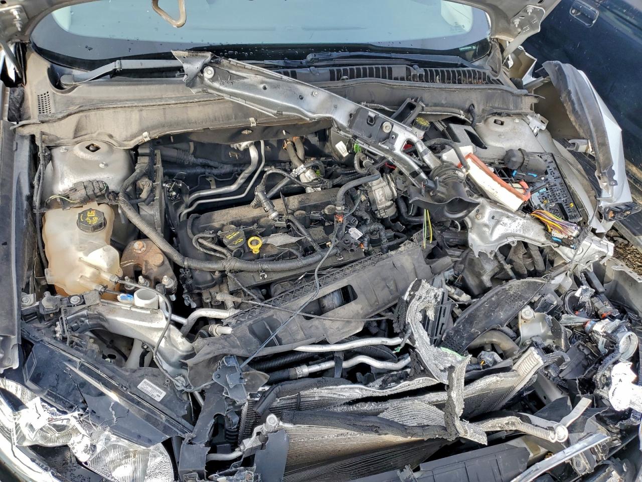 Lot #3315955096 2014 FORD FUSION SE