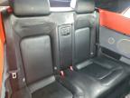 Lot #3310319069 2003 VOLKSWAGEN NEW BEETLE