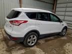 Lot #3312523642 2016 FORD ESCAPE SE