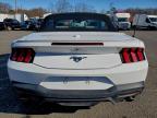Lot #3305499067 2024 FORD MUSTANG